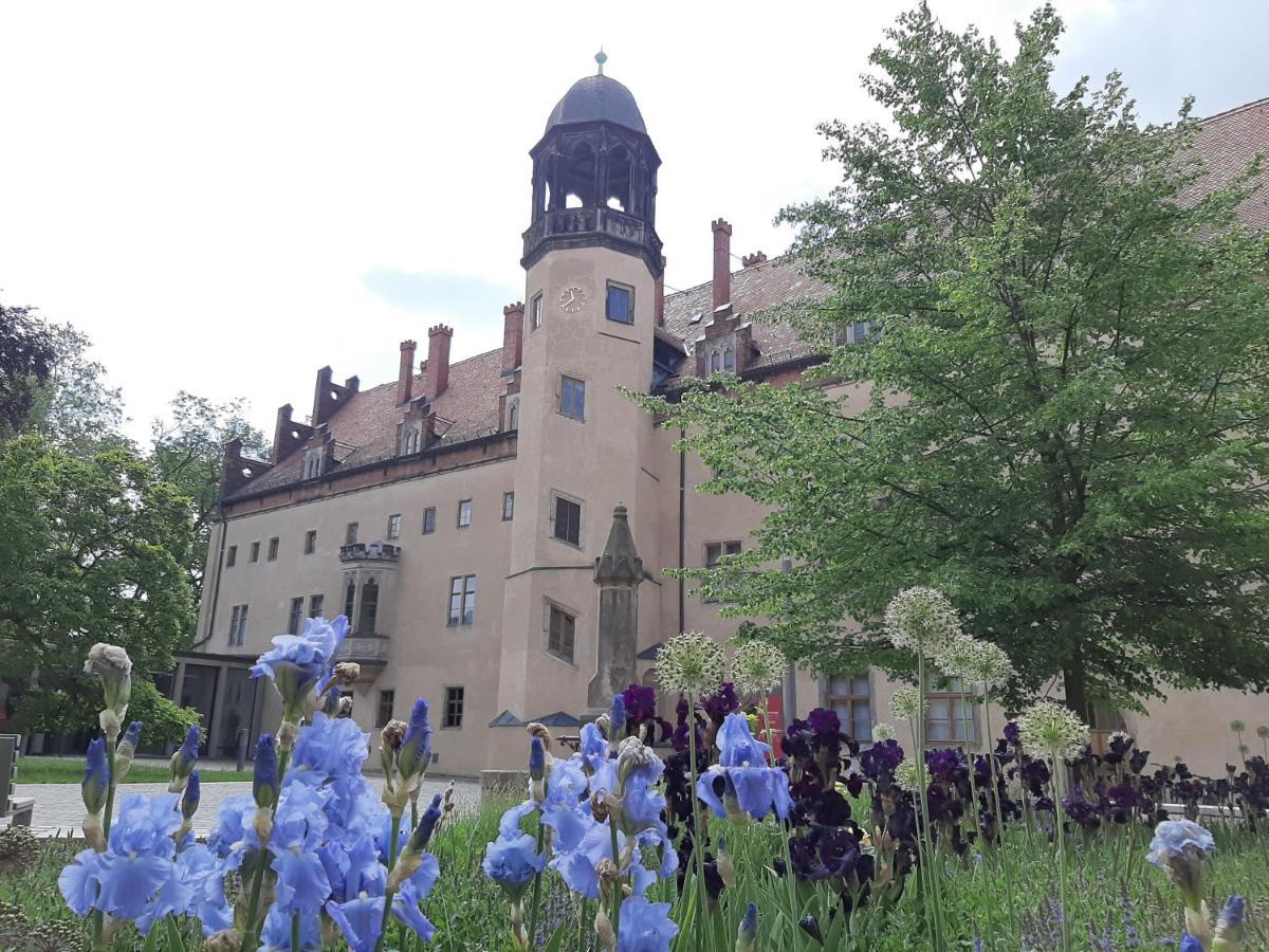 Fewo Rosenbluete Am Stadtpark Wittenberg Extérieur photo